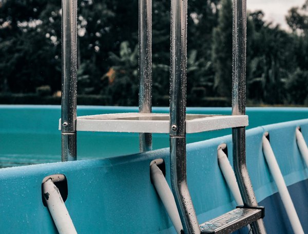 Solutions rapides pour lutter contre les nuisibles à paris